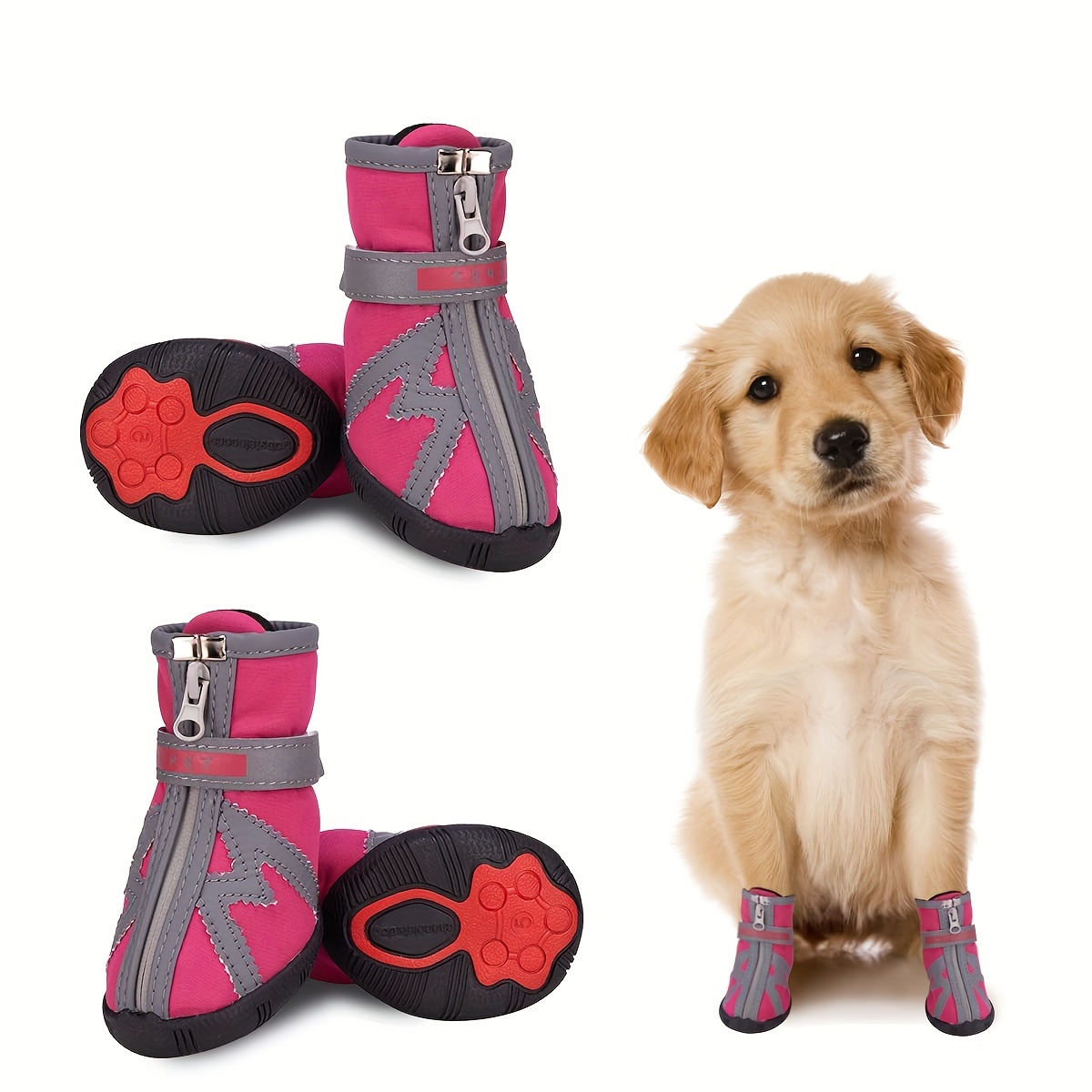 Dog shoes outlet kmart