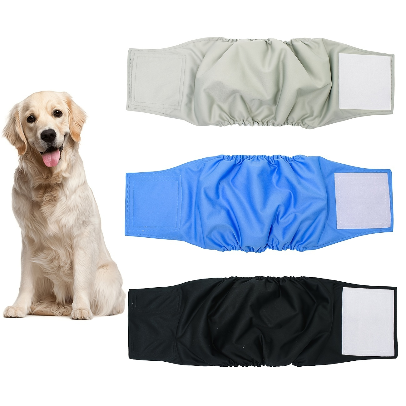 Boy dog shop belly bands