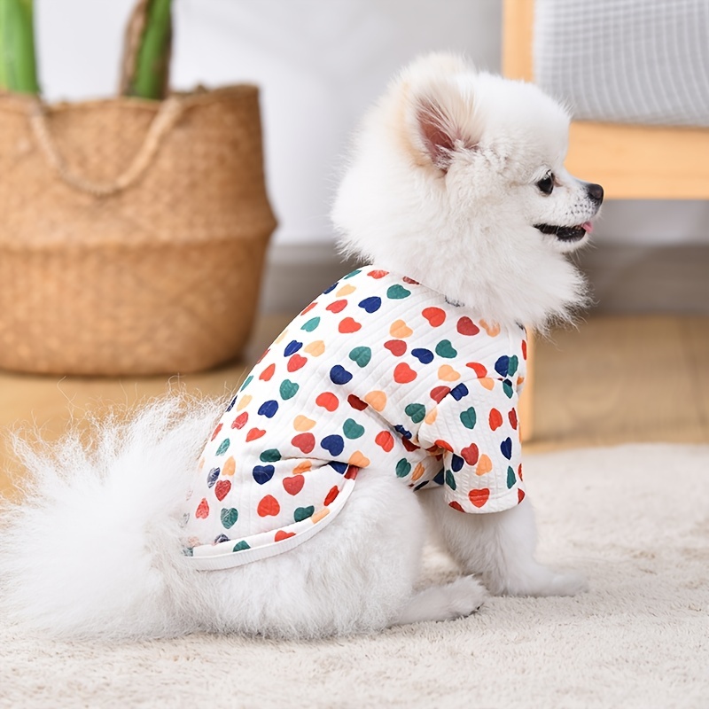 Dog apparel clearance australia