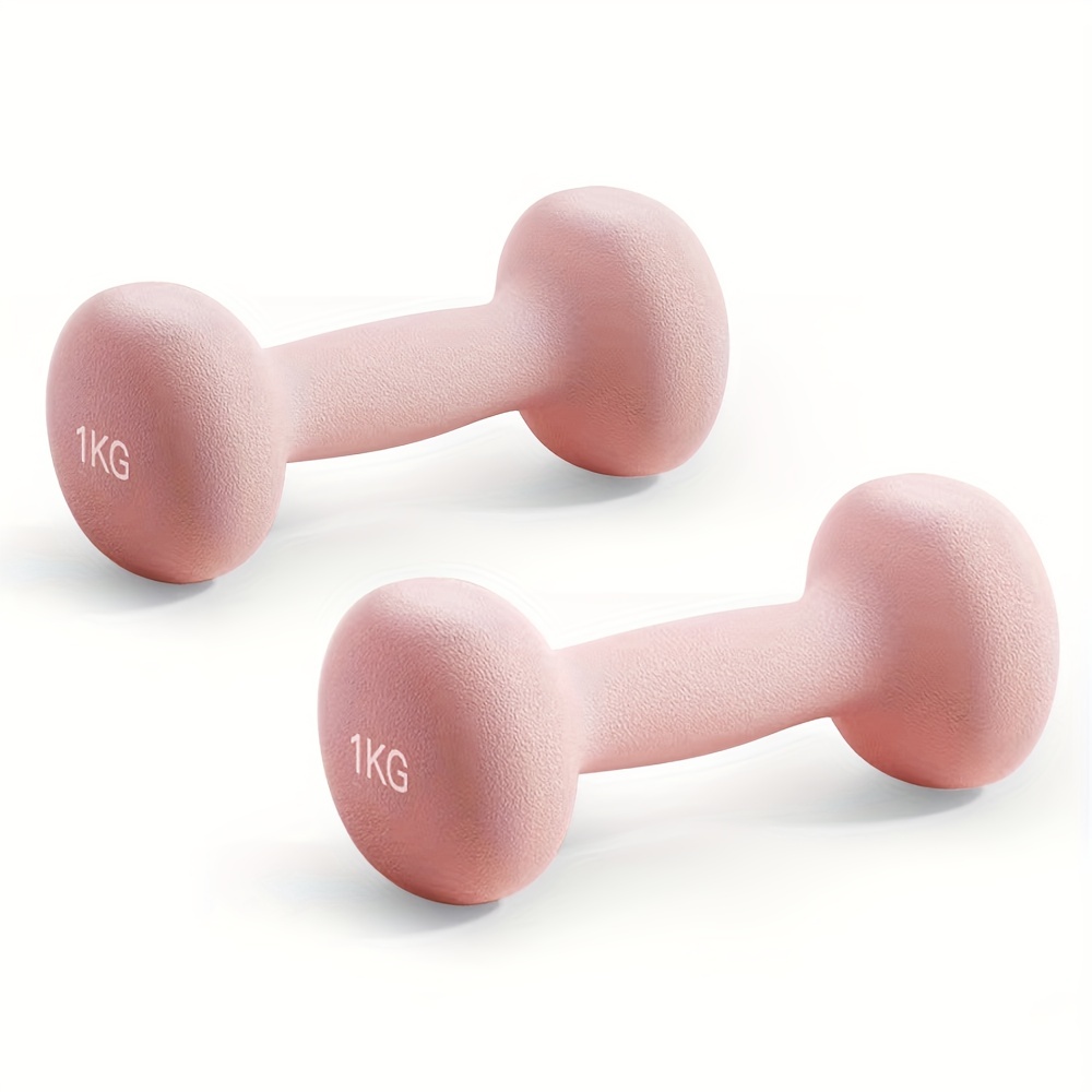  Dumbbells Gym Home Exercise Dumbbell 1PC Workout Fitness  Dumbbell Hand Weights 1.5KG, Strength Training for Teens Women : Sports &  Outdoors