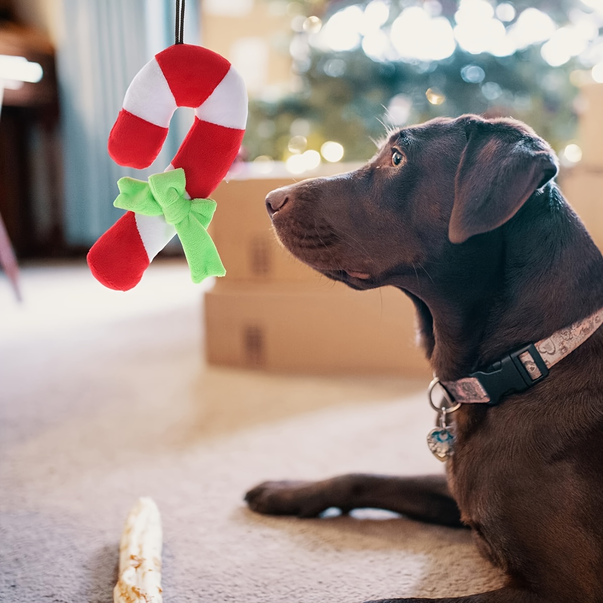 DuraPaw - Durable Christmas Candy Cane Nylon Chew Toy