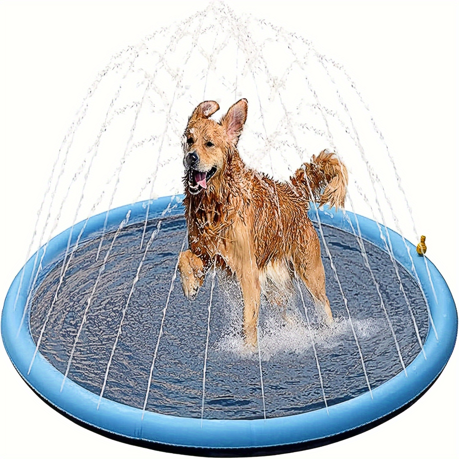 Dog Splash Pad - Temu