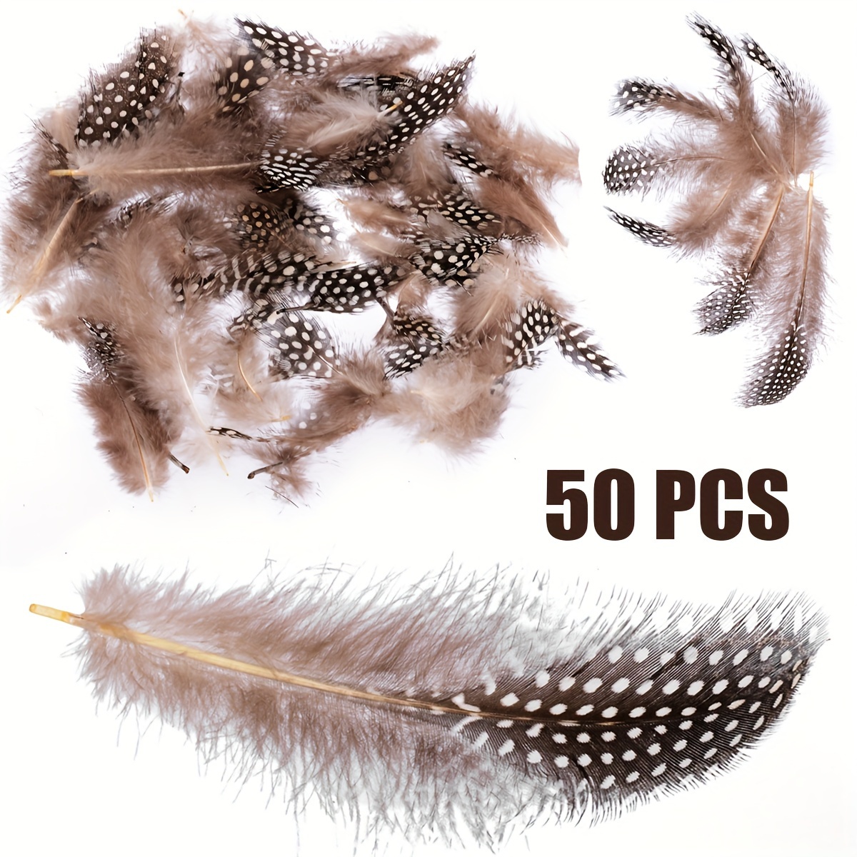 30 Pcs Natural Pheasant Feathers for DIY Craft 15-22cm Assorted Wild Turkey  Feather Guinea Fowl Wing Quill Wedding Home Party Decorations(2 Styles)  brown and white