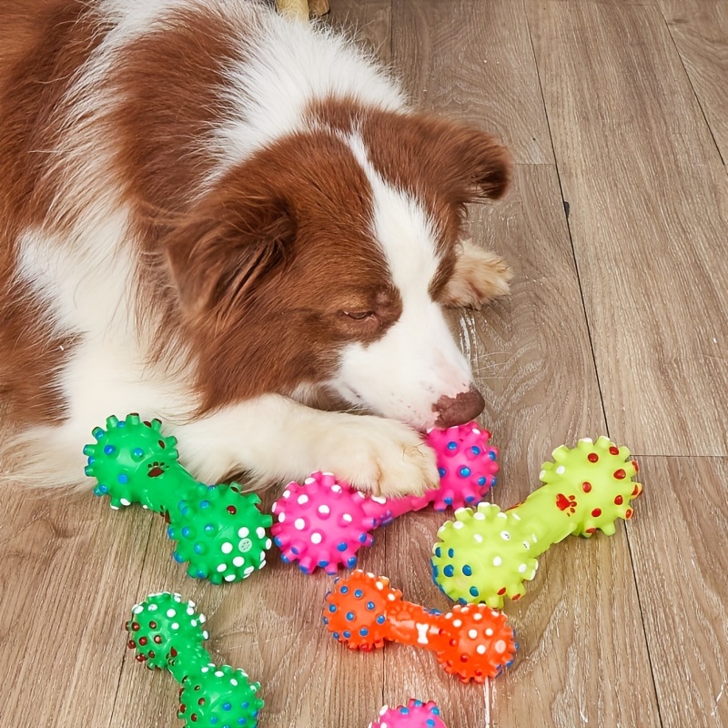 Dog Bone/carrot Plush Toys Puppy Pet Play Squeaky Drumstick - Temu