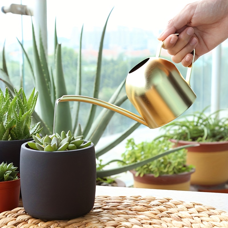 2x Mini Arrosoir Pour Plantes Vous Aide à Arroser Les Plantes D'intérieur  Minuscules Aux Herbes Succulentes