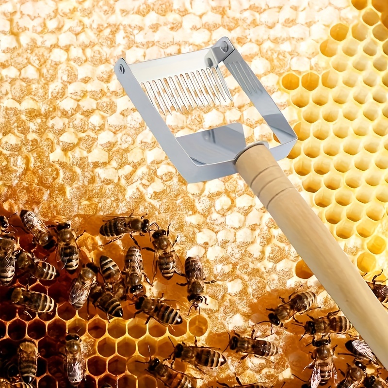 10Pcs Natural Beeswax Sheets Beeswax Honeycomb Sheets Wax Foundation Bee  Hives Kit Beeswax Sheets for Candles Making Furniture Floor Polishing