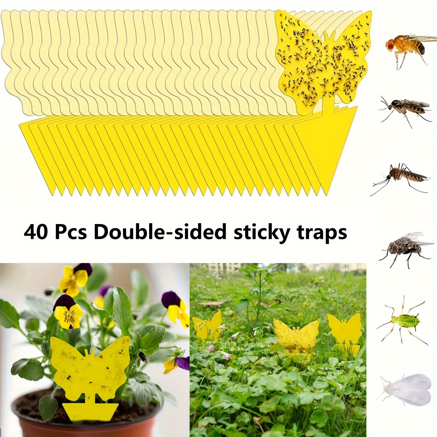  36 Pcs Sticky Traps for Fruit Fly, Whitefly, Fungus Gnat,  Mosquito and Bug, Yellow, Insect Catcher Traps for Indoor/Outdoor/Kitchen,  Extremely Sticky Trap, Non-Toxic, 4 Shapes : Patio, Lawn & Garden