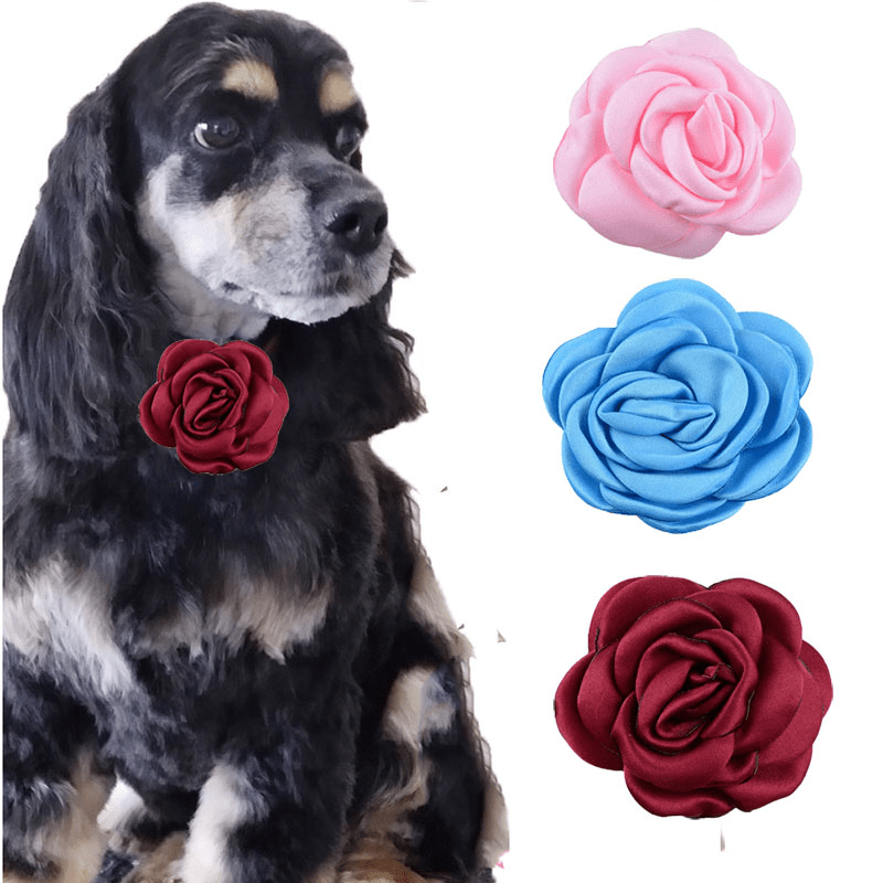 Cotton Designer Dogs Collar Cute Flower Dog Collars For Girl Female Small  Medium Large Dogs With Flower Charms