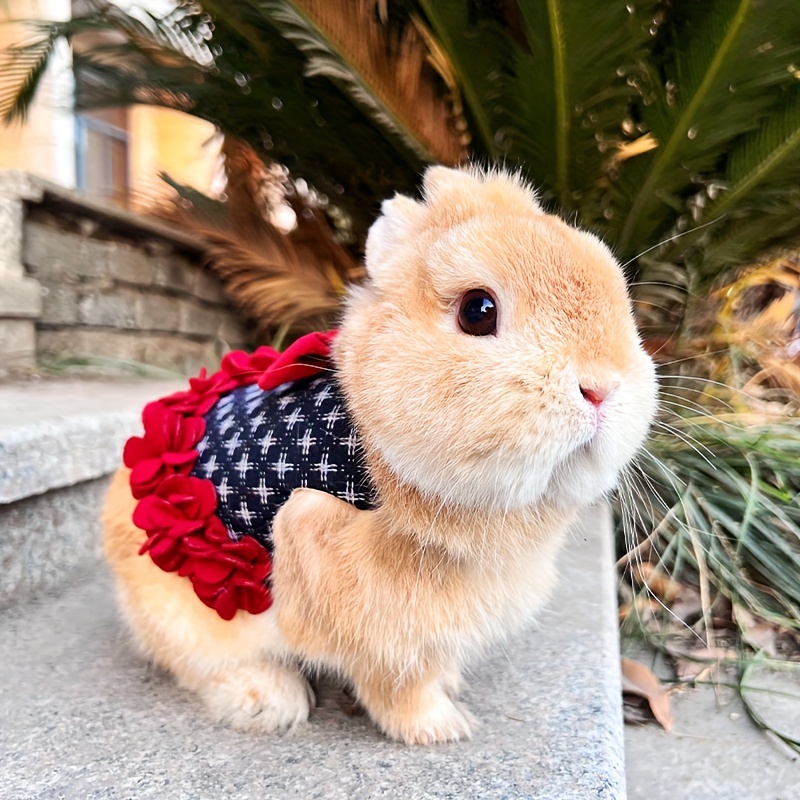 Adorable Disfraz Conejo Recién Nacido: ¡perfecto Fotografía - Temu