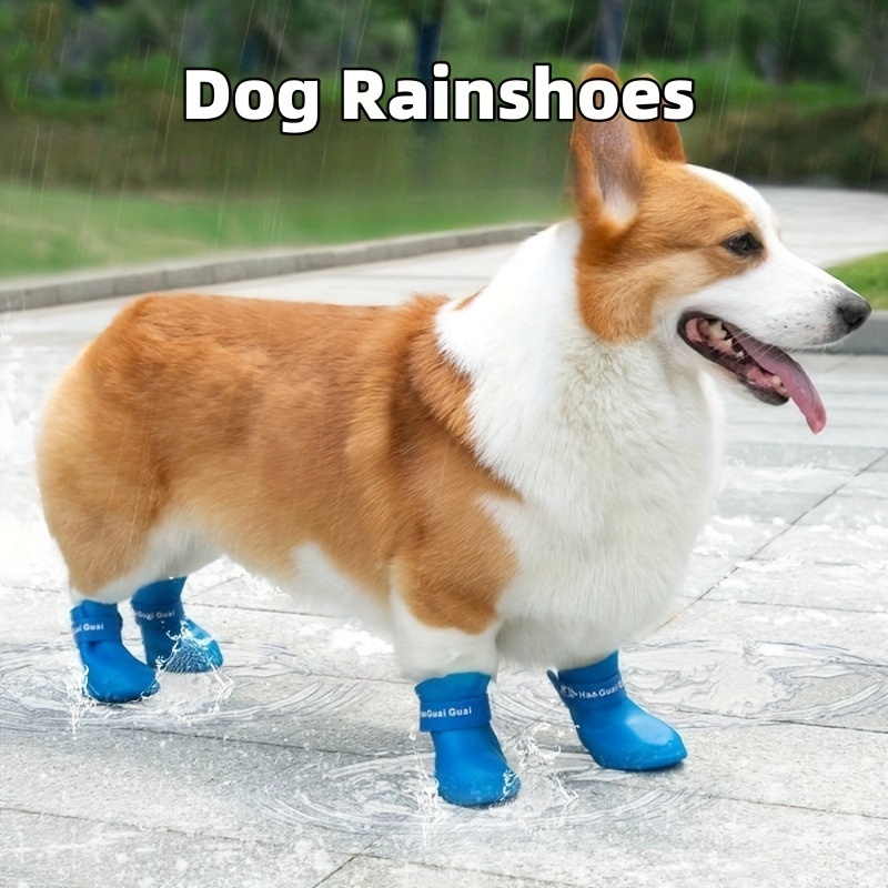 Pin by Onze on estilo&acessorios  Dog boots, Cute dog toys, Dog shoes