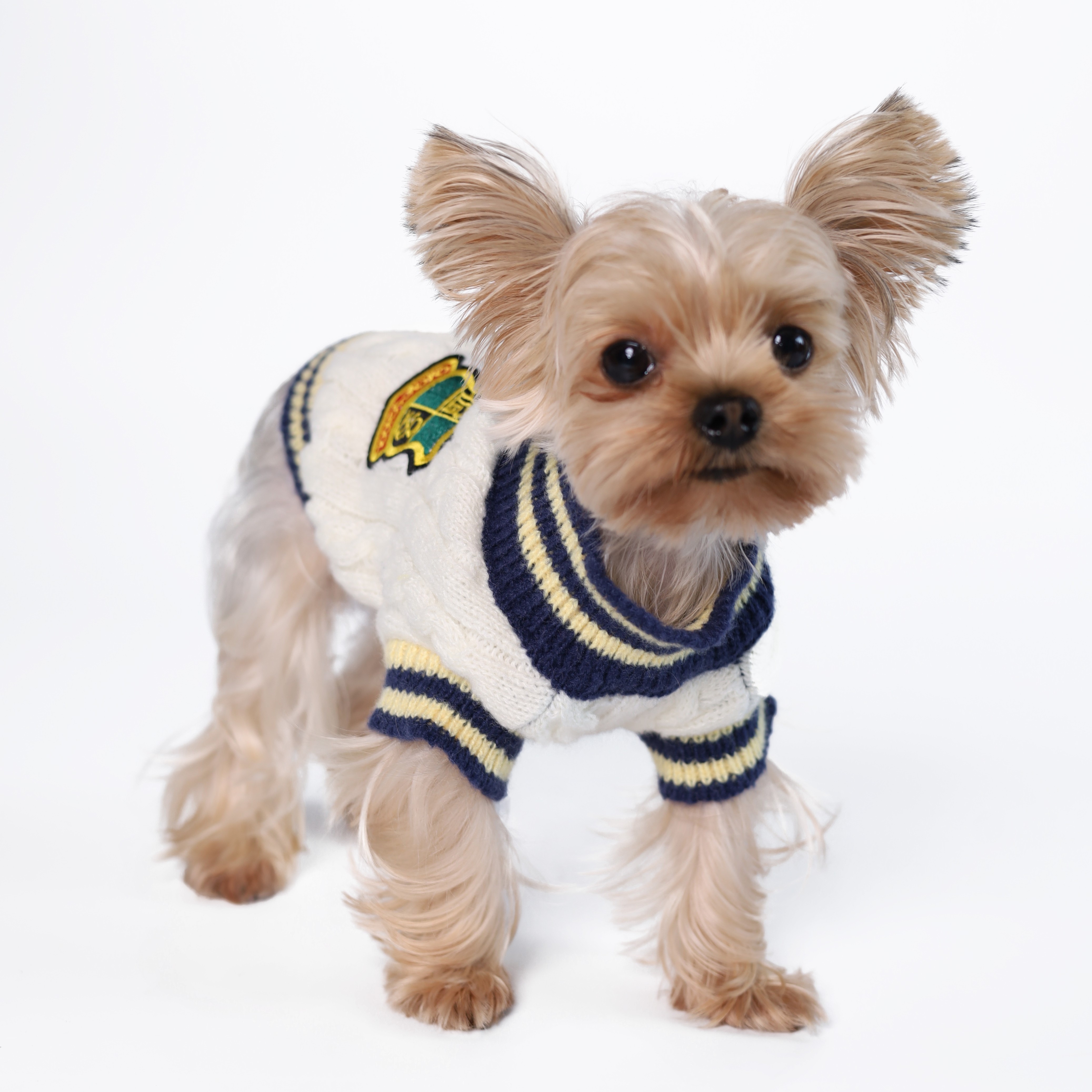 Preppy dog outlet clothes