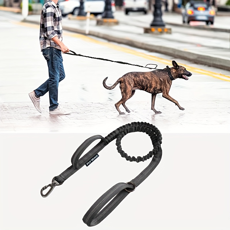 Jump best sale bungee leash