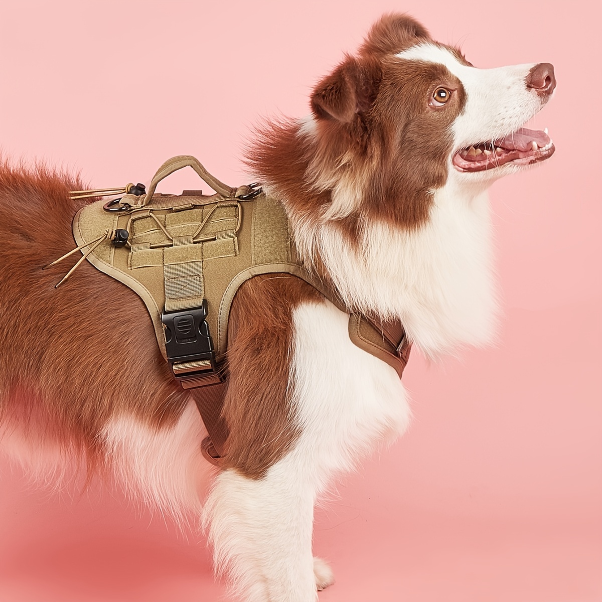 No pull store dog harness petco