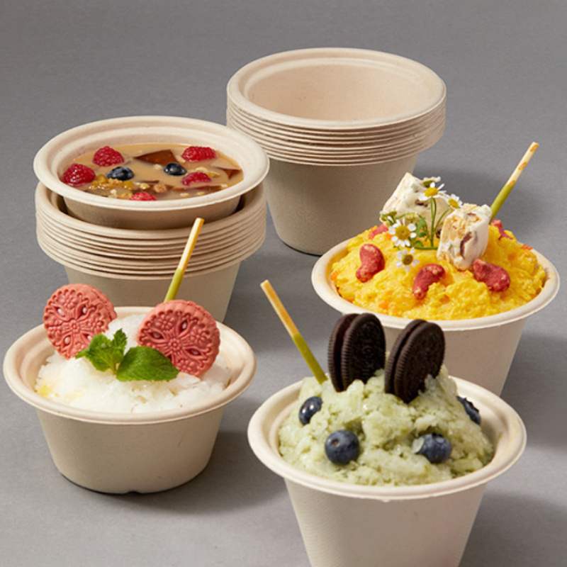 Reusable Plastic Dessert Ice Cream Cups Bowls Mold with Lids