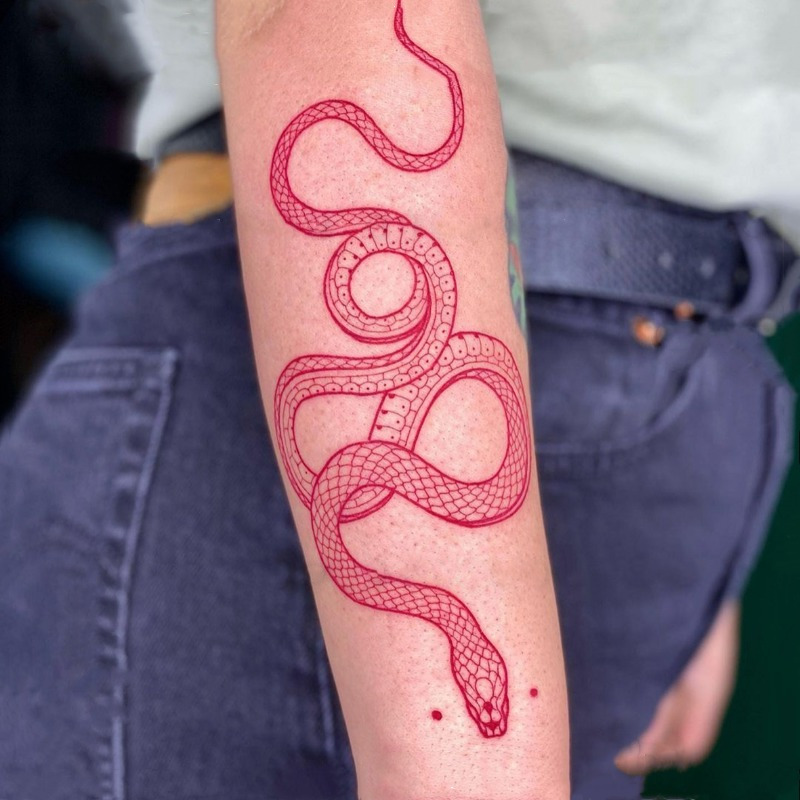 tatoo de serpentes 3d - Pesquisa Google  Mamba negra, Tatuaje de  serpiente, Serpientes