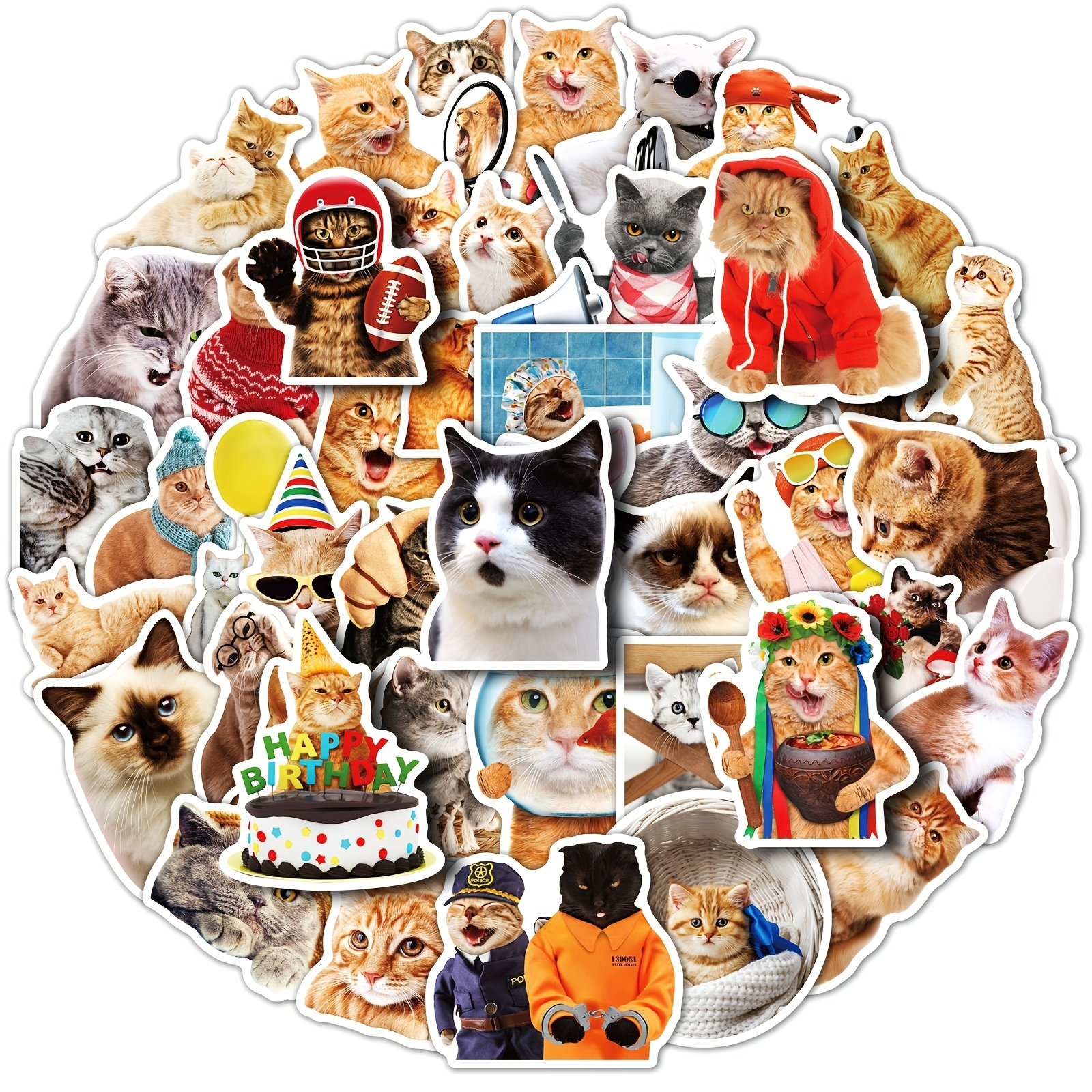 1 Pc, Autocollants Chat 3D, Stickers Muraux Chat, Ajoutez Du Plaisir Félin  À Votre Maison, Stickers