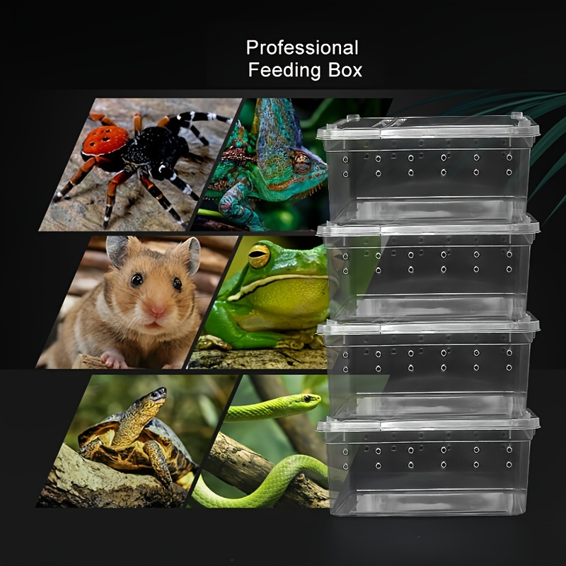 Crawler feeding box Crawler pet cricket Cricket tortoise horned frog Lizard  chameleon palace keeping box - AliExpress