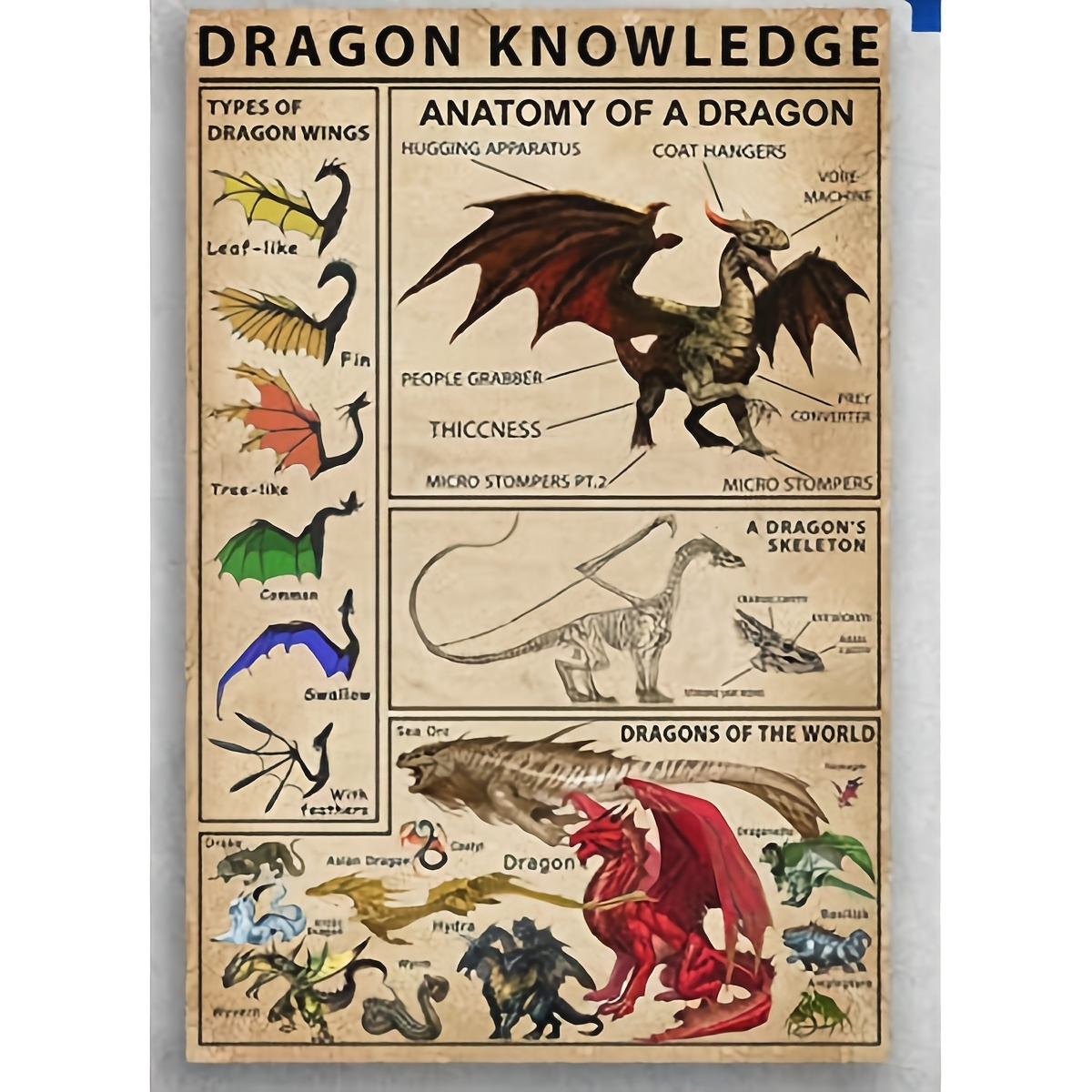 1pc Dragon Knowledge Types Of Dragon Wings Poster Home Kitchen Retro Bar Pub Office Wall Decor 12x8 Inches