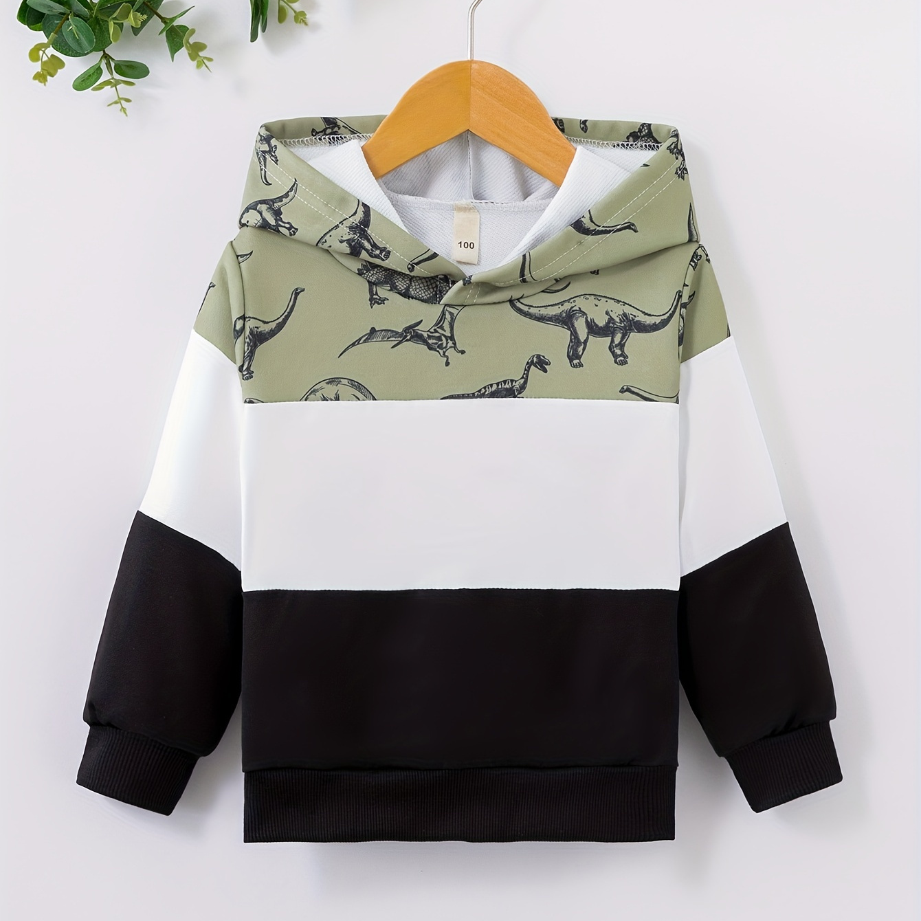 

Stylish Color Block Dinosaur Print Boys Casual Pullover Long Sleeve Hoodies, Boys Sweatshirt For Spring Fall, Kids Hoodie Tops Outdoor