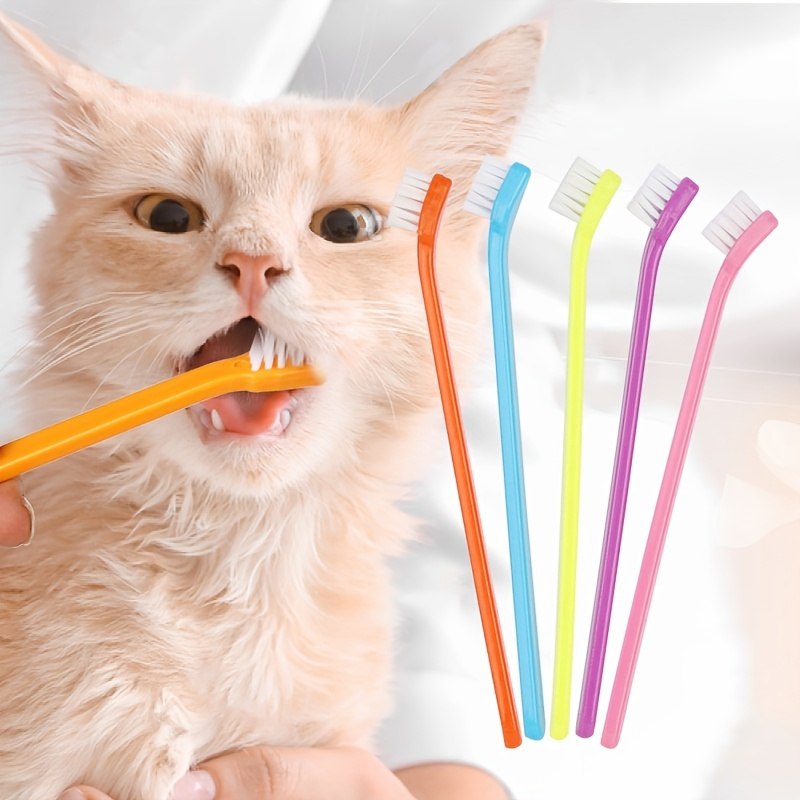 Eliminate Bad Breath & Keep Your Dog's Teeth Clean with this Nontoxic Toothbrush Tool!