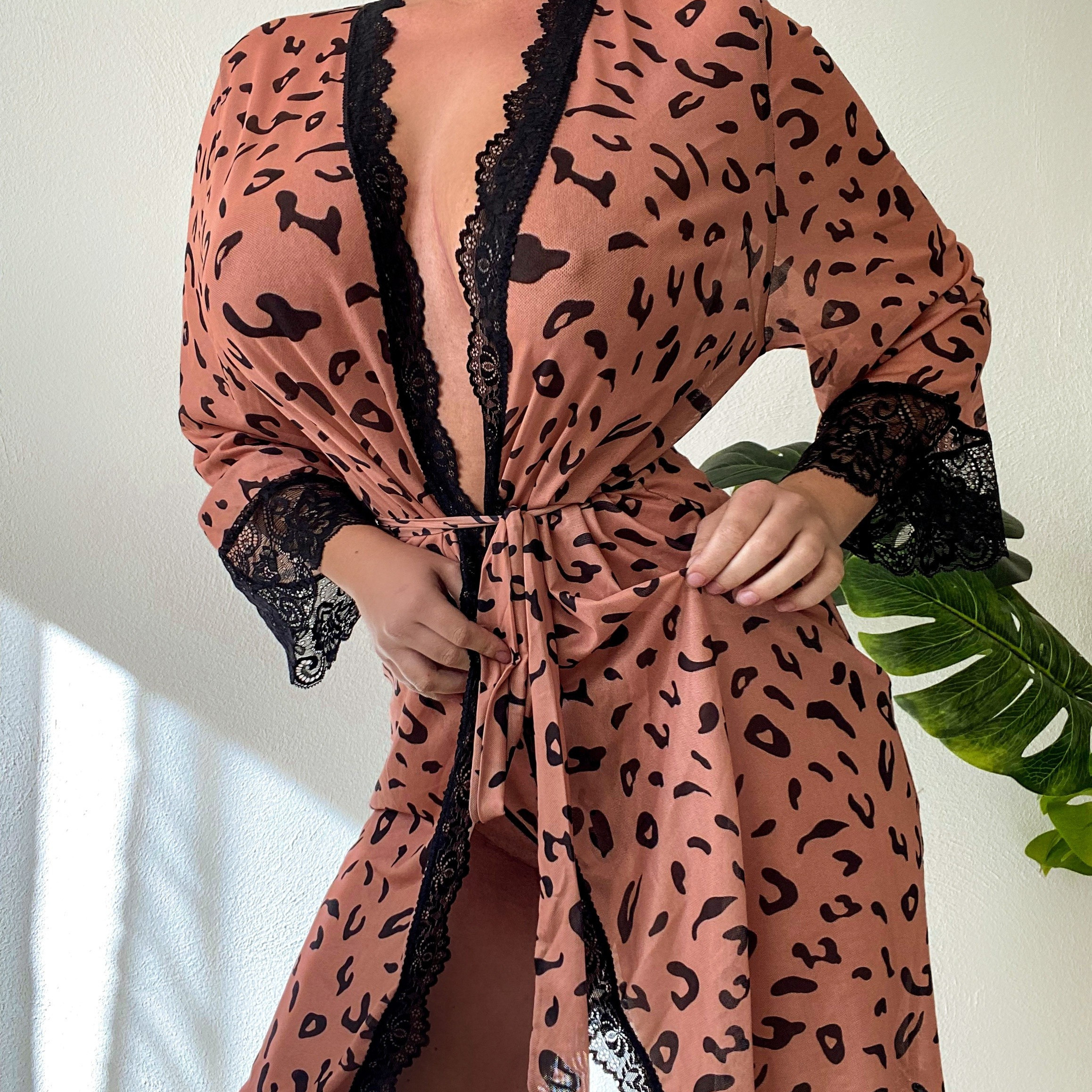 Sexy Lace Mesh Lingerie Set, V Neck Slip Dress & Long Sleeve Robe
