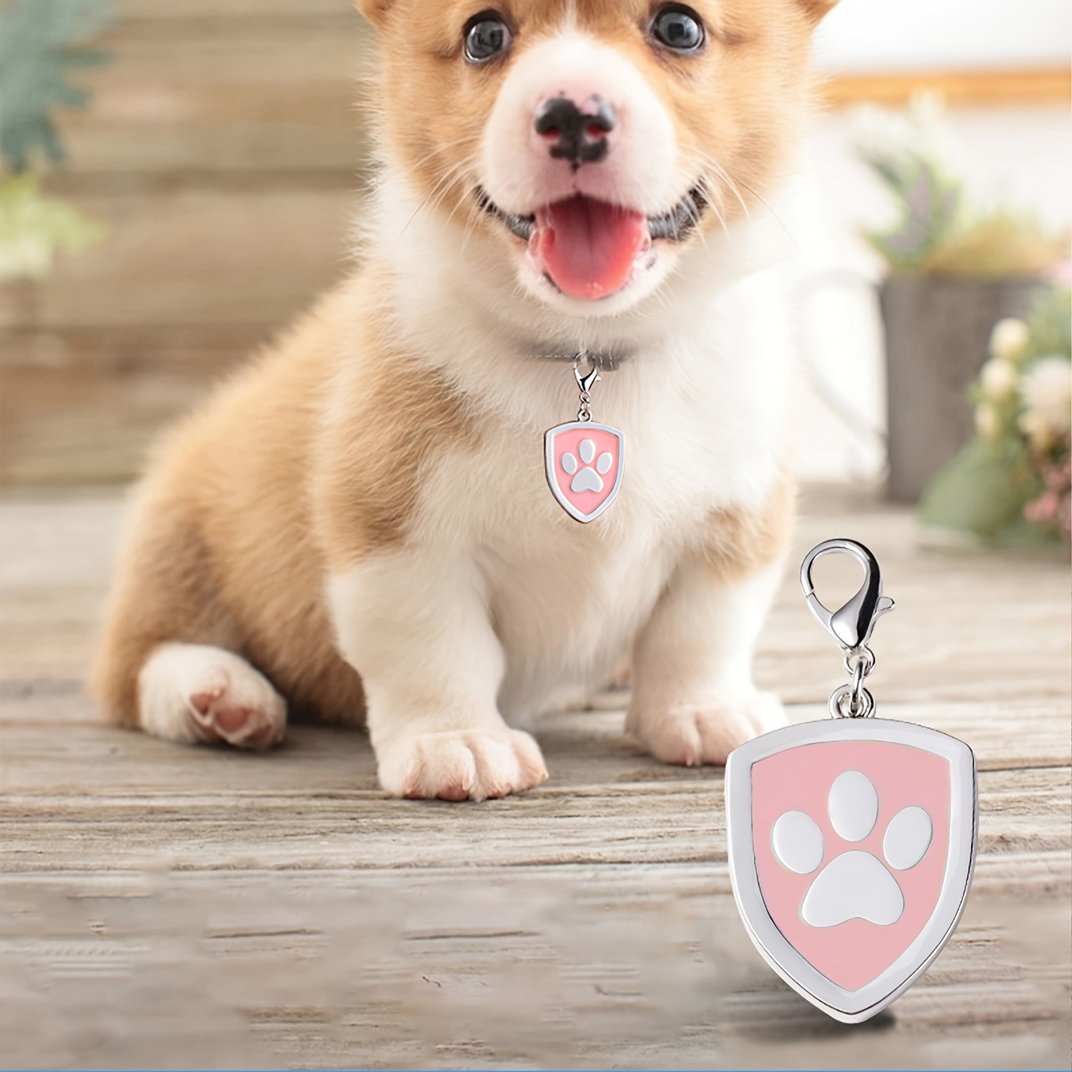 Targhetta per cani personalizzata per animali domestici - Targhetta con  nome per cane incisa - Targhetta identificativa per gatto - Temu Italy