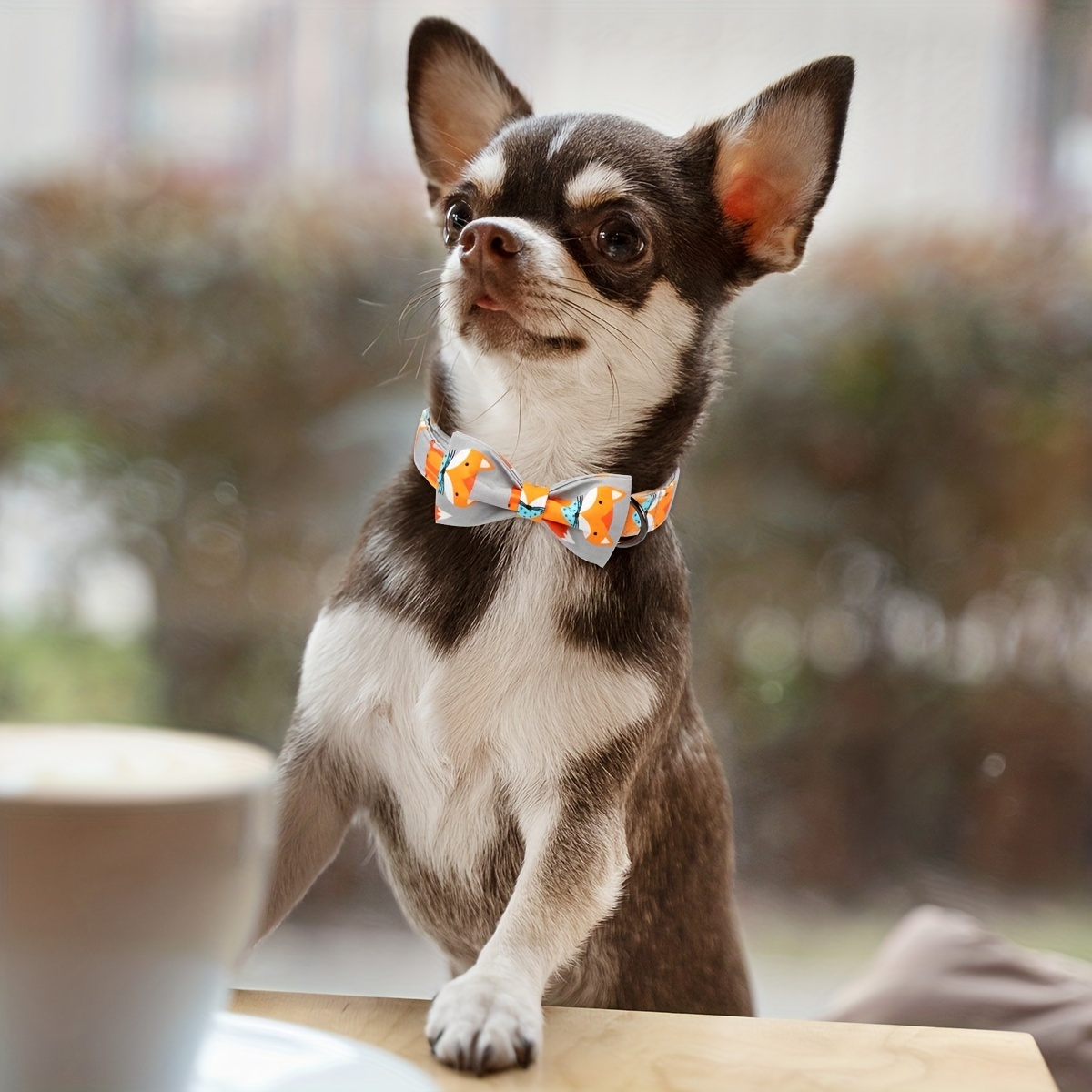 Bow Tie Collar - Coffee