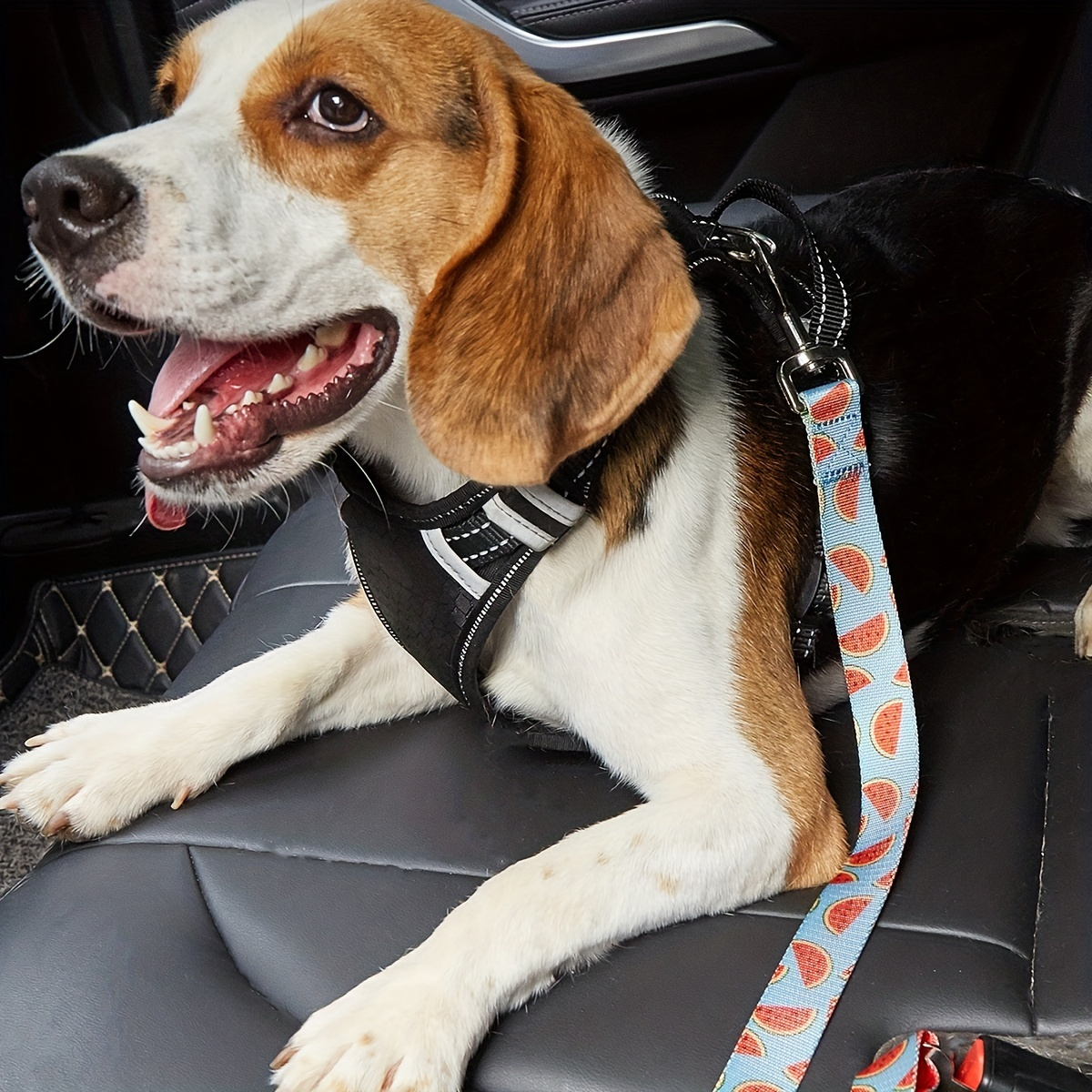 Pet Dog Blue Heat Transfer Safety Belt With Watermelon Pattern Cute Dog  Seat Belt
