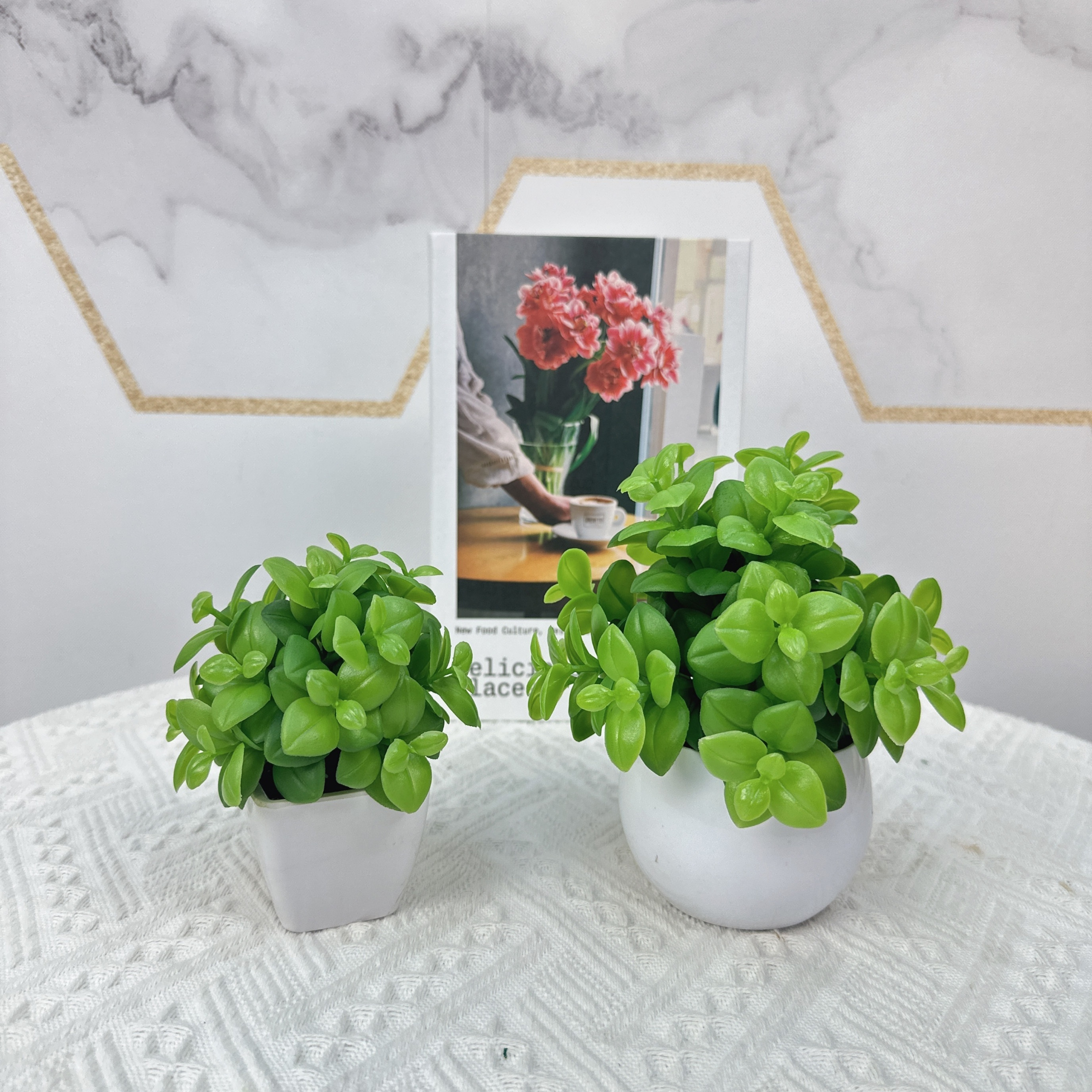 Grote planten voor in huis? Shop jouw plant bij