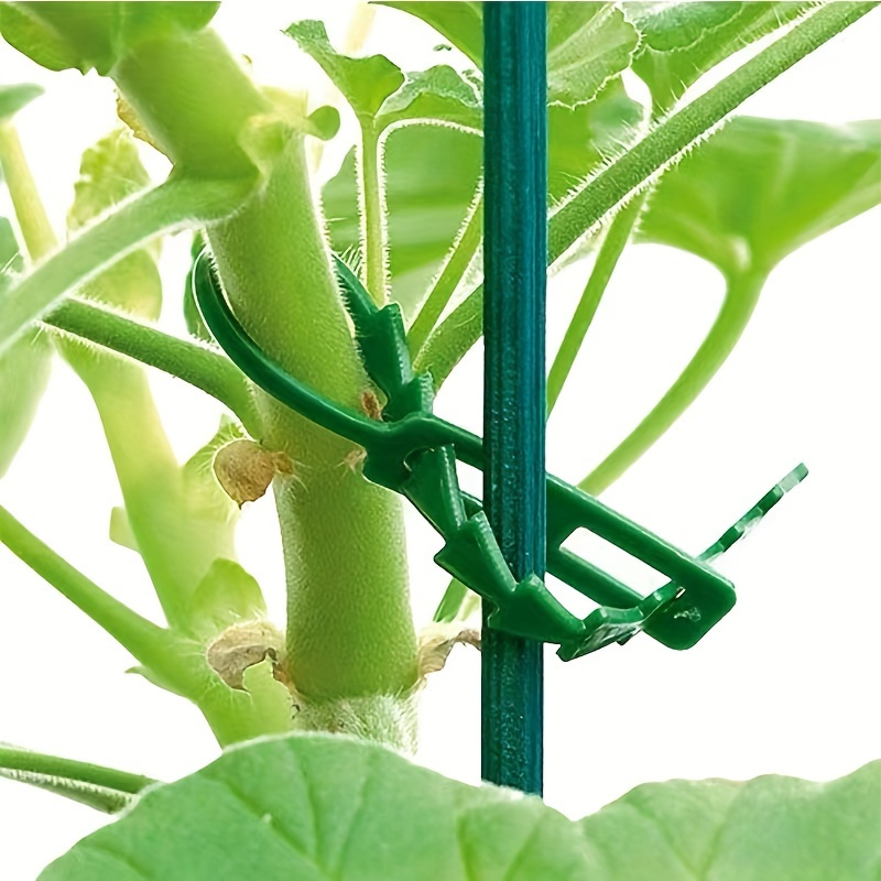 Green Garden Rope Plant Ties Nylon Blended + Pp Plant - Temu