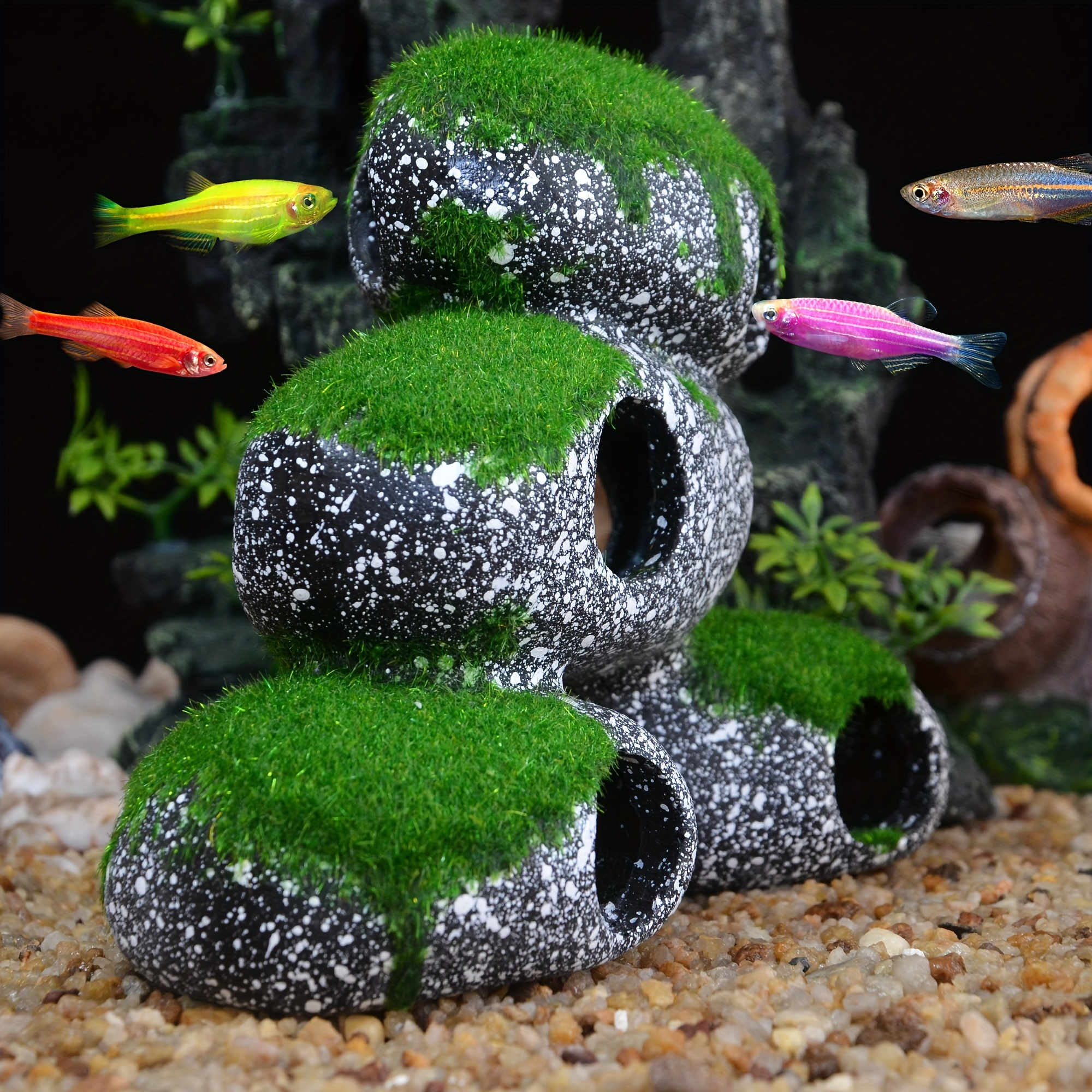 Fish Rock Tank Temu