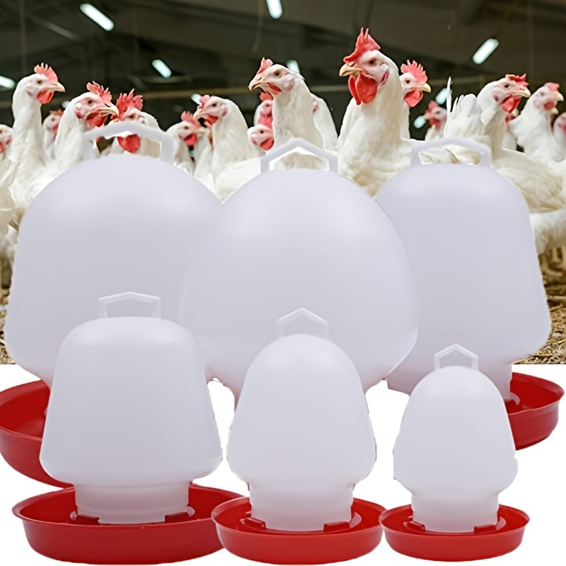 1pc, Mangeoire Pour Volaille, Abreuvoir Suspendu Pour Volaille Pour  Nourriture Pour Poulets, Petits Oiseaux, Canards, Volaille, Contenant De  L'eau De 2,2/5,5/8,8 Lb - Temu Belgium