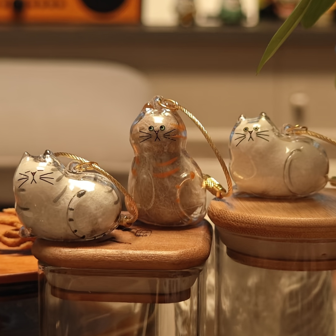 Lot De 5 Porte-clés En Acrylique Transparent Pour Conserver Les Poils De Chat - Boîte Souvenir Collection Poils D'animaux