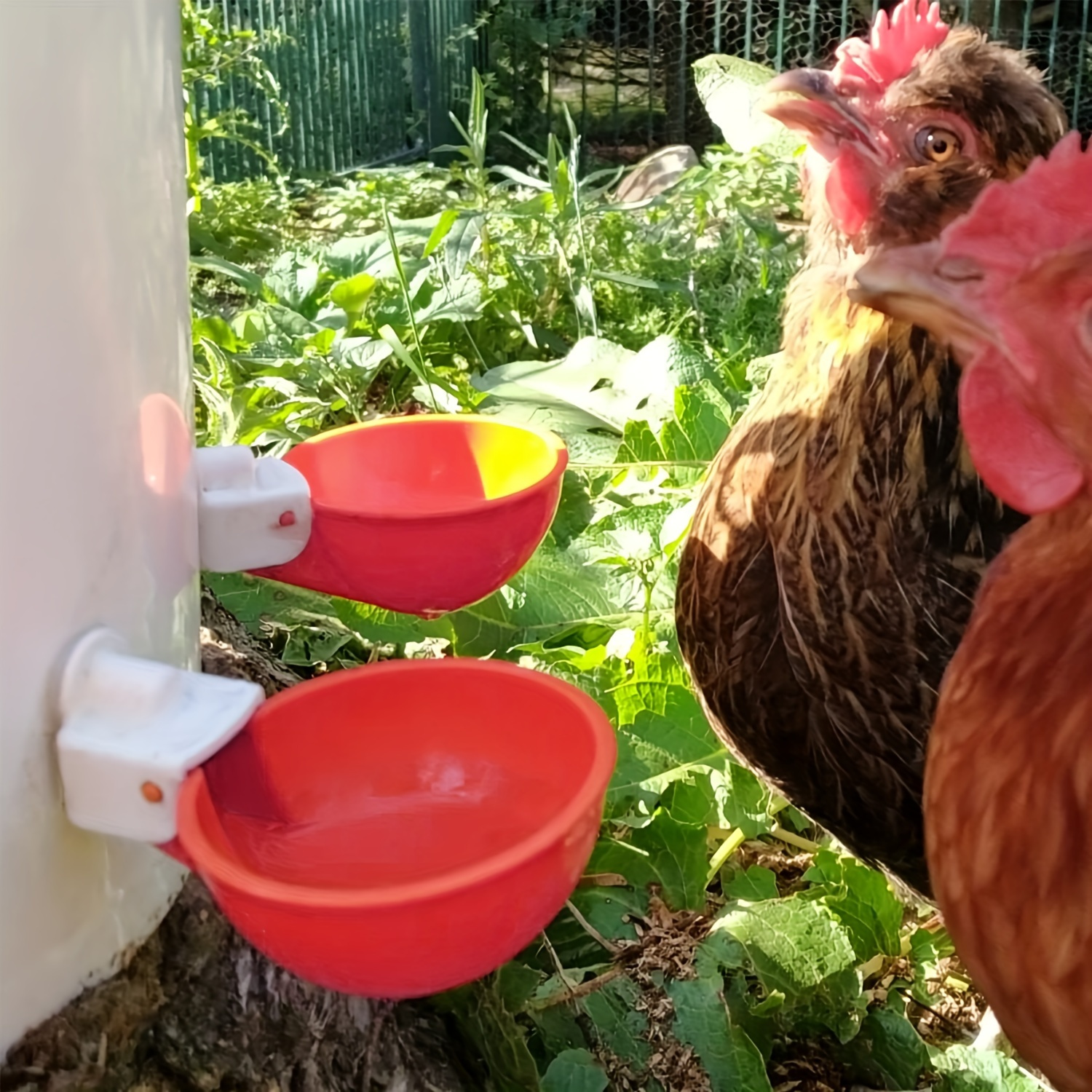 5pcs Automatic Chicken Waterer Cups Chicken Water Feeder Suitable For Chicks, Duck, Goose, Turkey And Bunny Poultry Water Feeder Kit