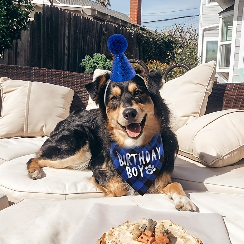 Dog Birthday Party Supplies Vikano Pet Birthday Hat And Boy Doggy Birthday Bandana Set Today's
