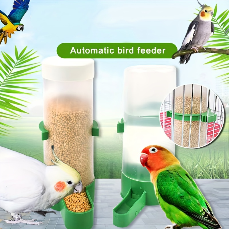 Automatic pet bird feeder sale