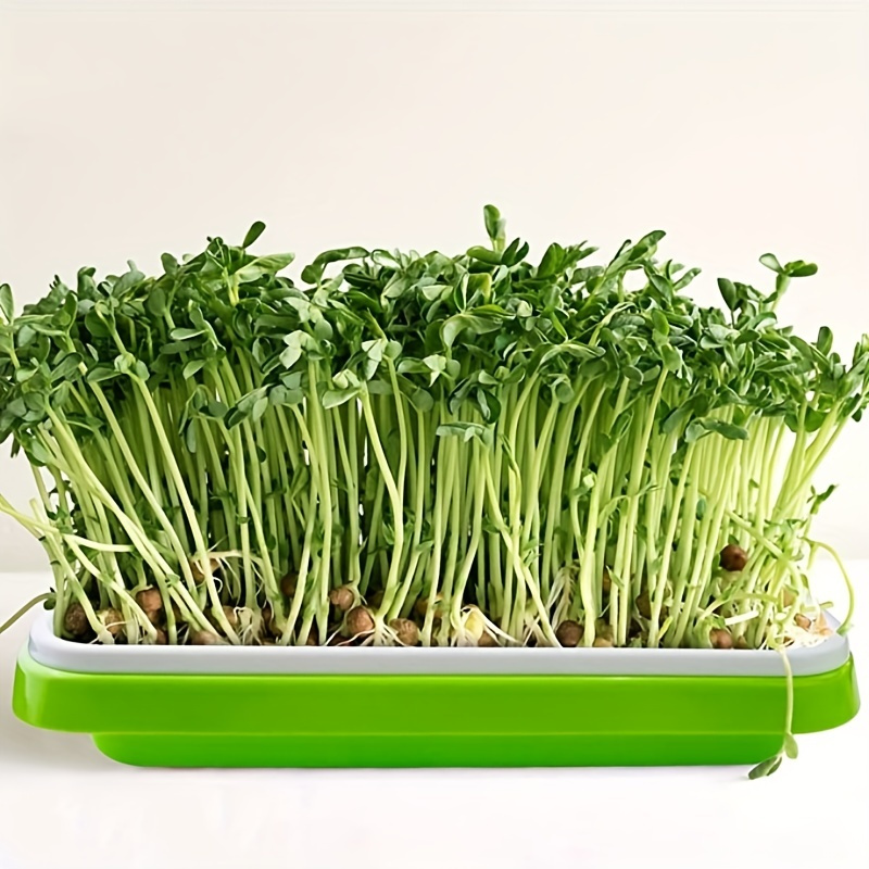 Growing Trays For Sprouting Seeds, Hydroponics Basket Soilless Seed Sprouter, Germination Tray Kit With Lid For Garden