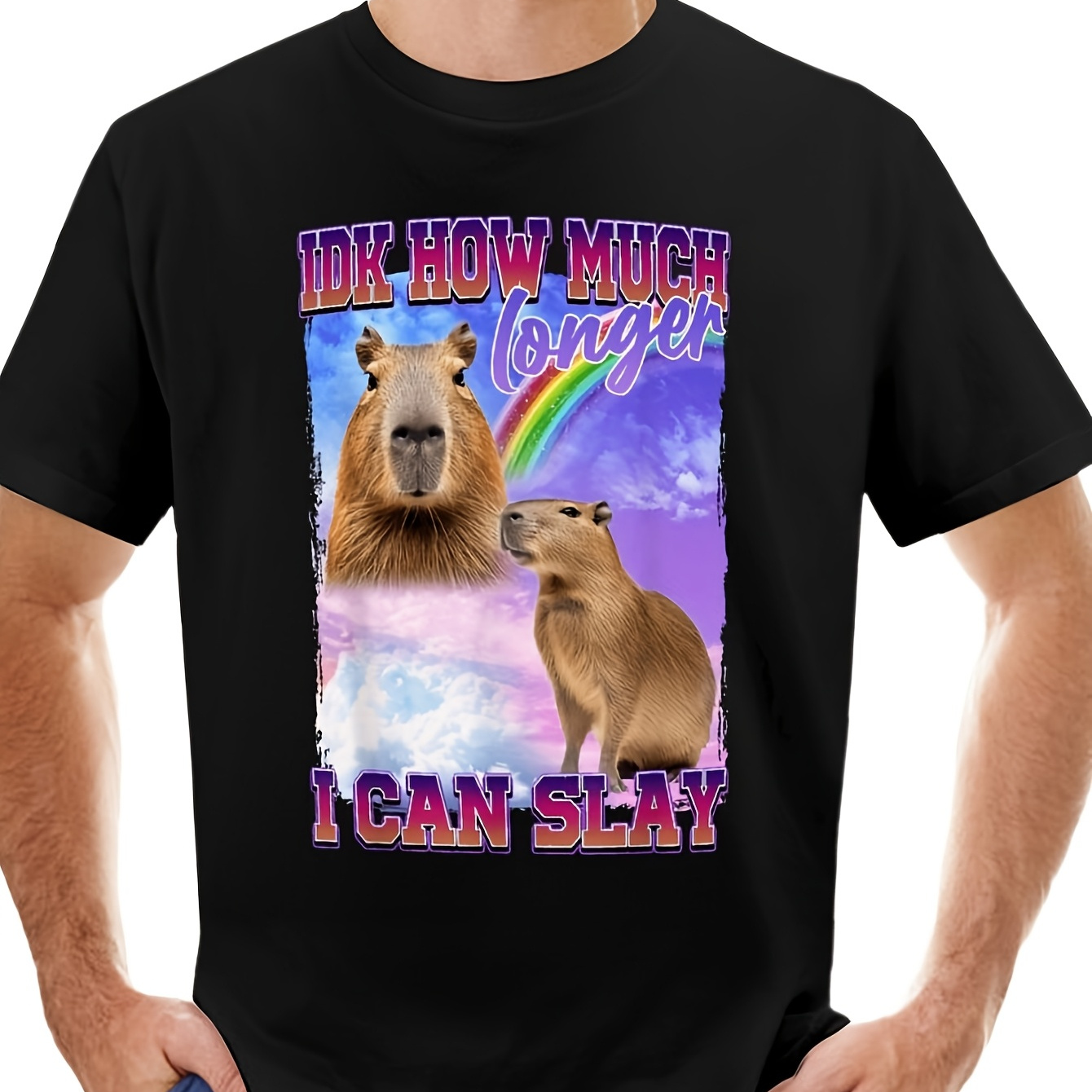 

Ewh Idk How Much I Can Slay Capybara T-shirt