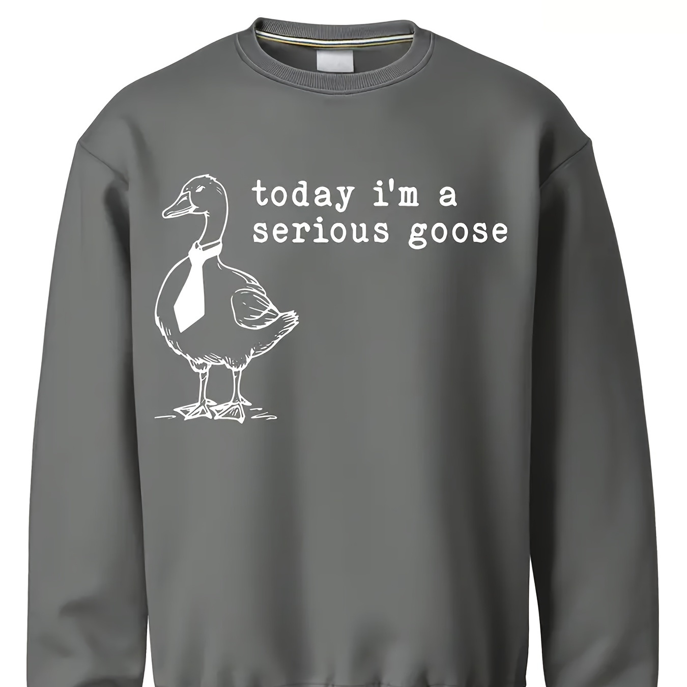 

Funny And Serious Goose Sweater, Today I Am Wearing A Serious Goose Sweater With A Tie Pattern And A Funny Animal Pattern Sweater - A Strange, And Humorous Shirt