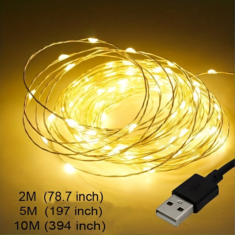 Outdoor Led Leather Wire String Lights Usb Plug Remote - Temu