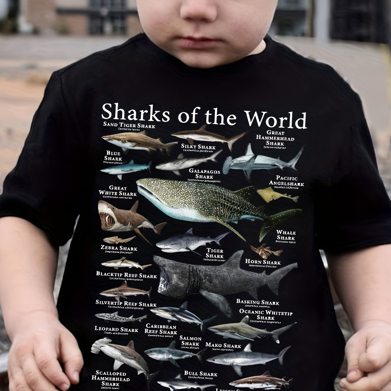

Sharks Of The World Anime Graphic Print Tee, Boys' Casual & Trendy Crew Neck Short Sleeve T-shirt For Spring & Summer, Boys' Clothes For Everyday Life