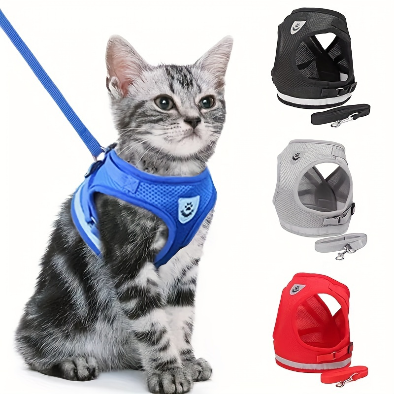 2023 New Pet Collar Set Dog Collar Leash Haulage Rope Package Cat