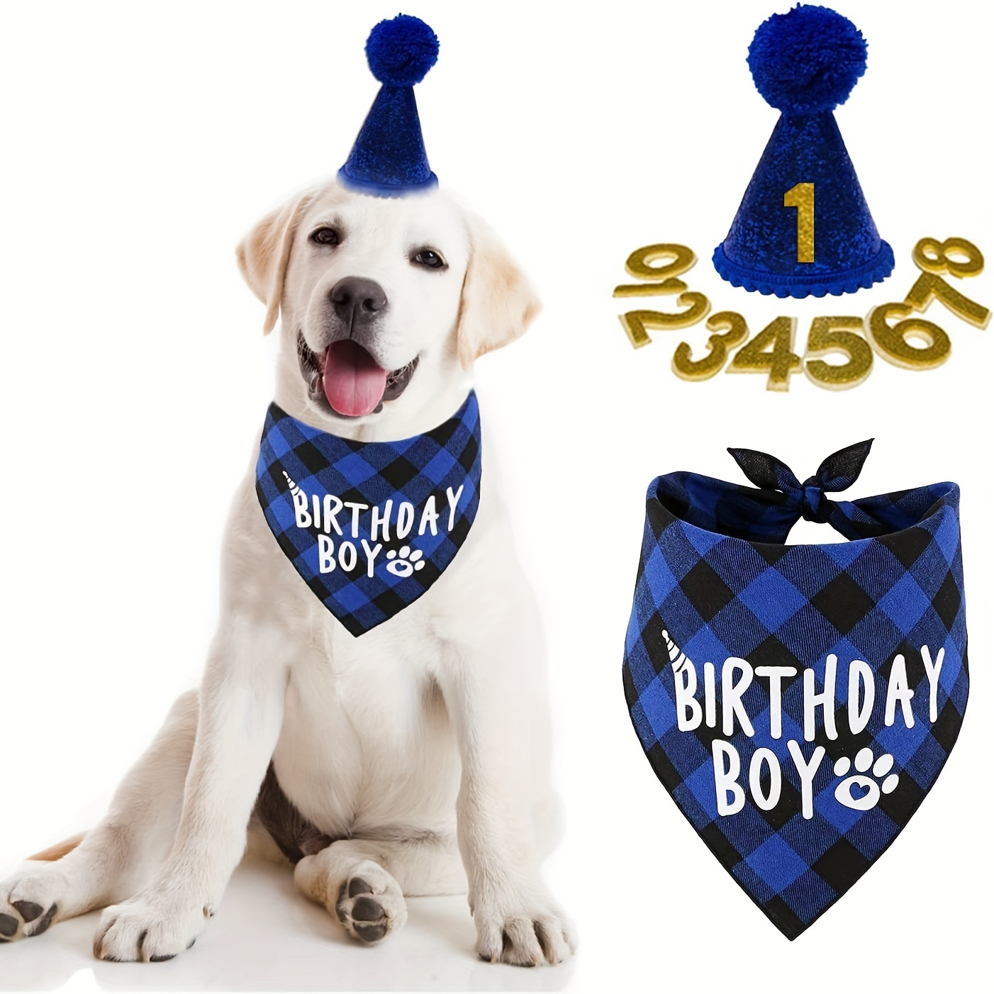 

Make Your Pet's Birthday Special With This Adorable Blue Bandana Scarf & Party Hat Set!