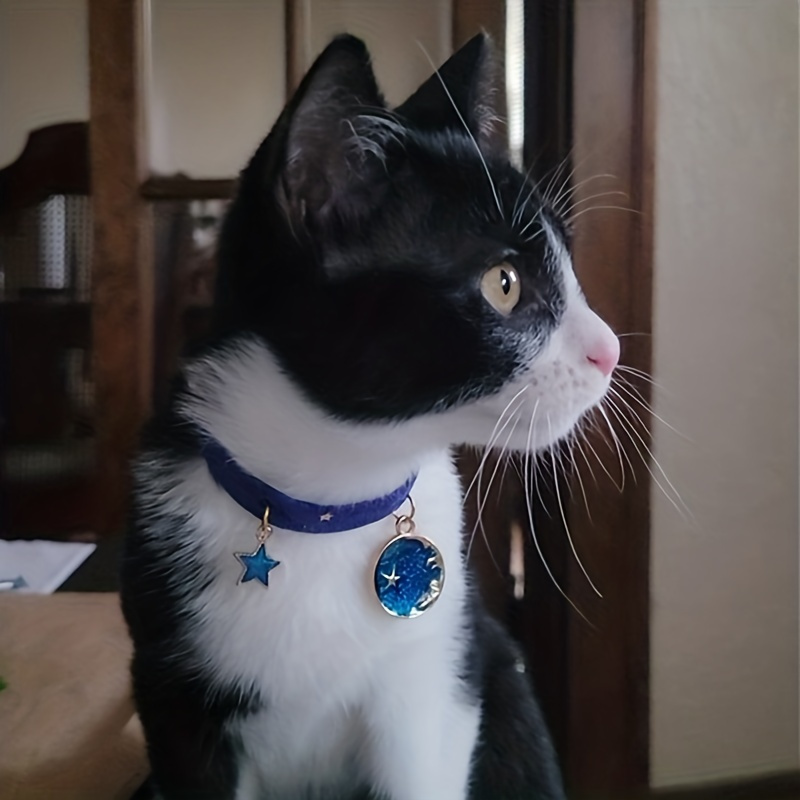 

Soft Velvet Cat Collar With Cute Pendant - Adjustable Pet Accessory For Comfort And Style