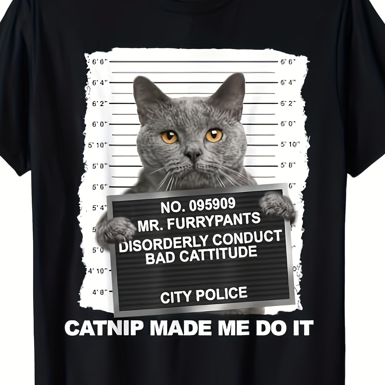 

Funny Cat Selfie With T-shirt