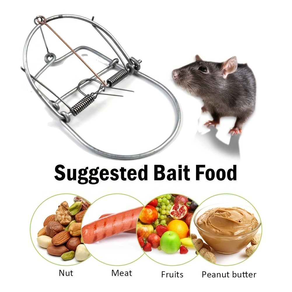 Rat Cage Mice Rodent Animal Control Catch Bait Hamster Mouse Trap Humane  Live Home High Quality Rat Killer Cage - Temu