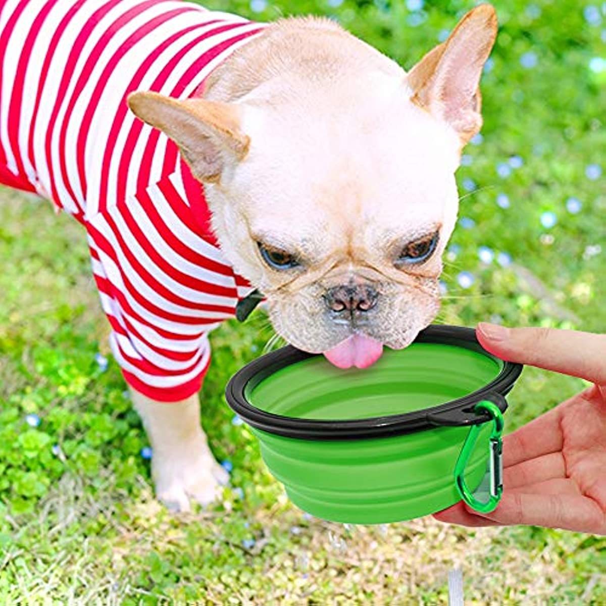 Portable Foldable Pet Water Bowl For Small Medium And Large - Temu