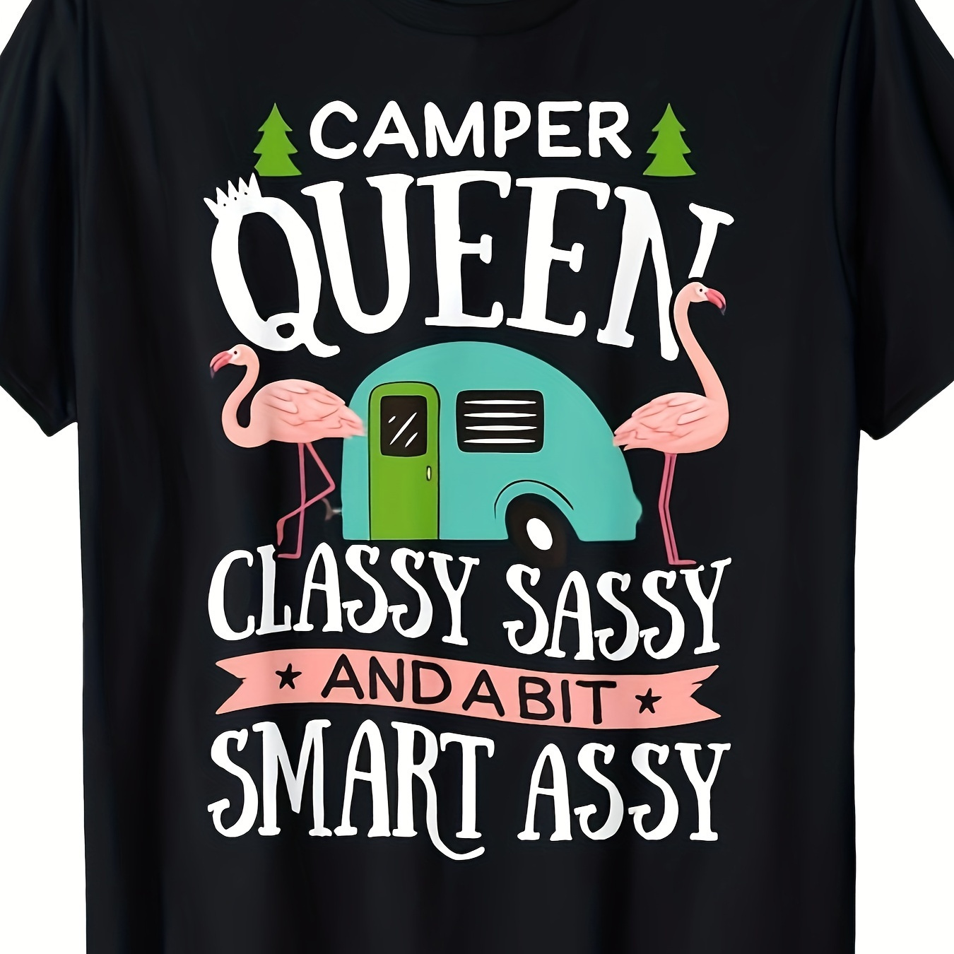 

Sassy Smart Funny Women Girls Camping Rv T-shirt 220g