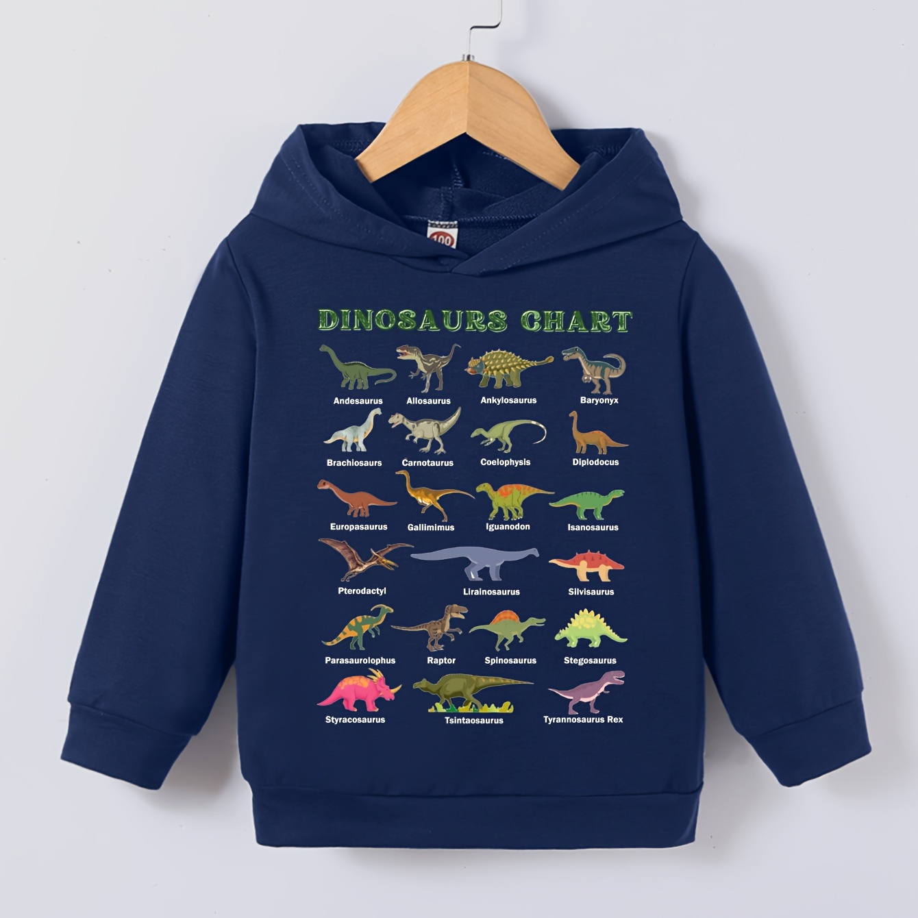 

Trendy Dinosaurs Chart Print Boys Casual Pullover Hooded Long Sleeve Sweatshirt For Spring Fall, Kids Clothing Outdoor
