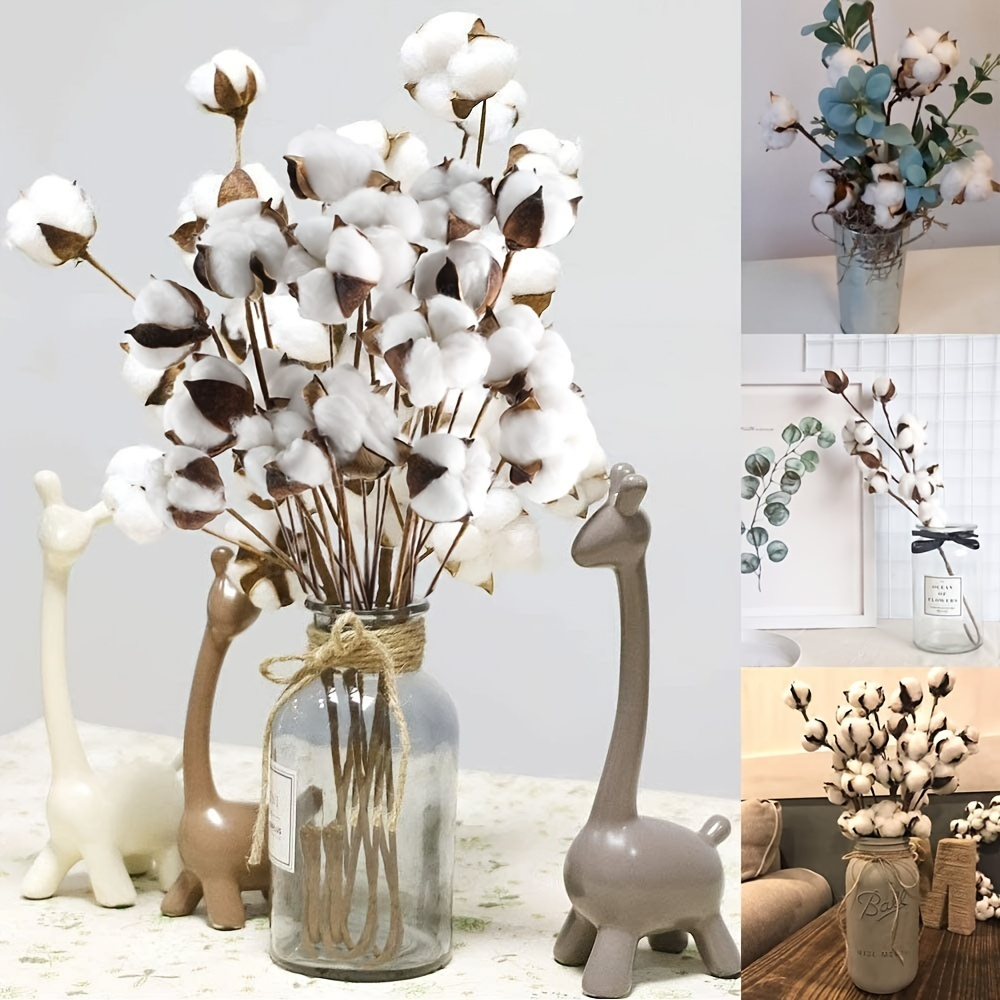CEWOR 20 tallos de algodón, flores falsas de algodón seco, tallos de  algodón sintético, tallos florales de algodón artificial, decoraciones de  granja